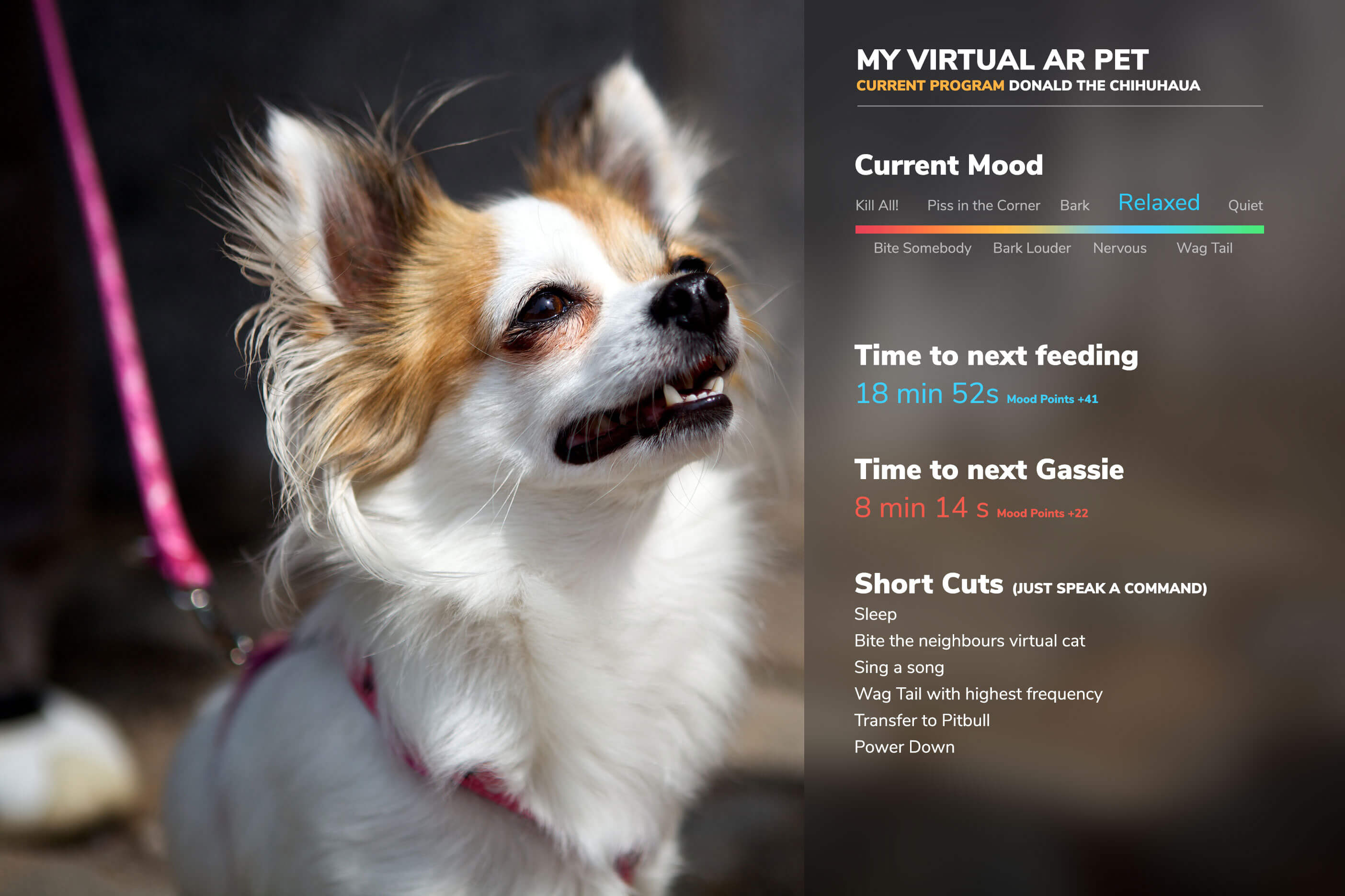 My Virtual Pet. AR Concept. EXALOS VISION